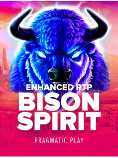 Bison Spirit